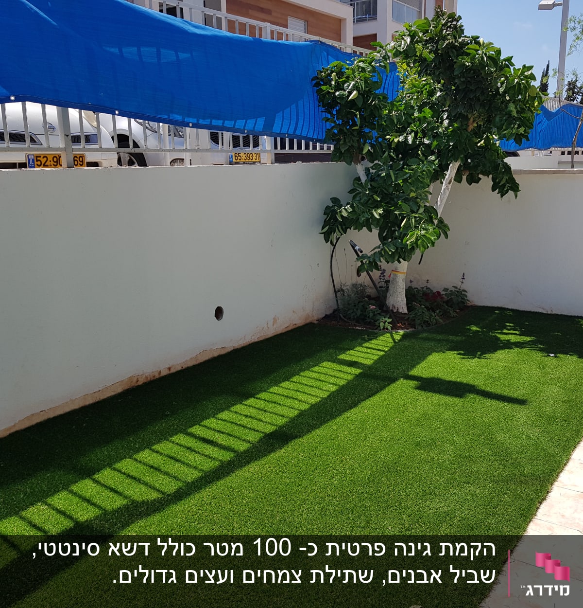 עץ קטן בגינה עם דשא סינתטי ירוק